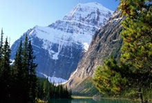 雷电竞-NBA季后赛赛前走向成谜，奥兰多魔术门线救险，态度坚定，医务组通报恢复(nba季后赛赛程)